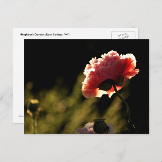 Garden van de buren briefkaart (Voorkant / Achterkant)