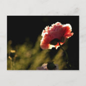 Garden van de buren briefkaart (Voorkant)