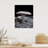 Garden Variey Mushroom Poster (Keuken)