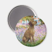 Garden - Vizsla 1 Magneet (Voorkant / Achterkant)