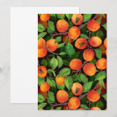 Garden voor abrikozen 1 (Voorkant / Achterkant)