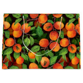 Garden voor abrikozen 1 groot cadeauzakje (Voorkant)