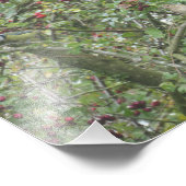 Garden Warbler and Blue Tit Foto Afdruk (Hoek)