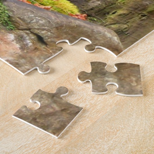 Garden Waterfall in het najaar Legpuzzel (Zijkant)