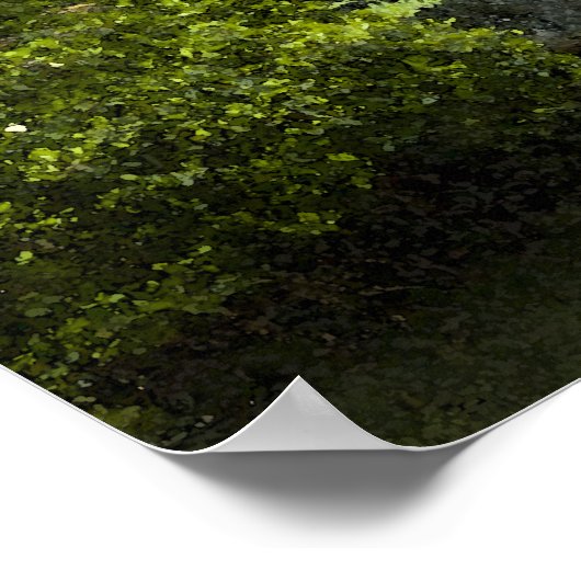 Garden Waterfall Poster (Hoek)