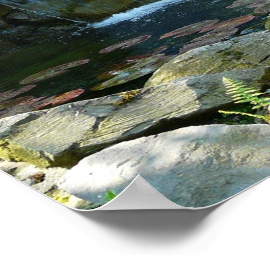 Garden Waterfall Poster (Hoek)