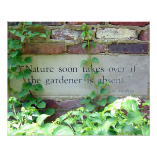 Garden Weeding Wisdom at Inniswood Park Foto Afdruk