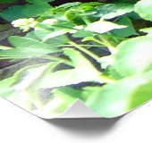 Garden Weeding Wisdom at Inniswood Park Foto Afdruk (Hoek)