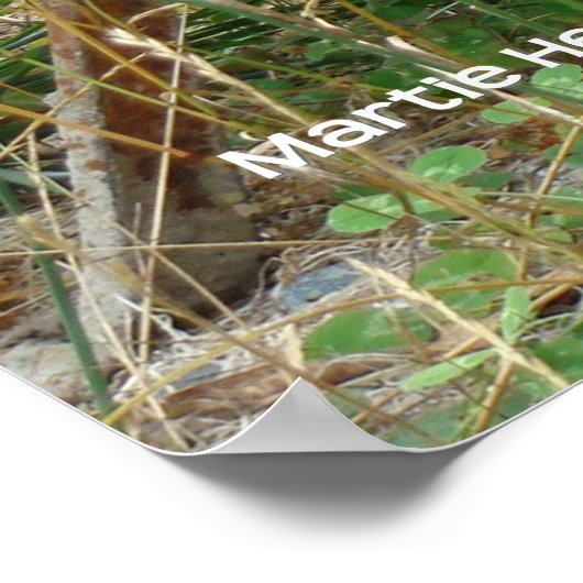 Garden Wheelbarrow Poster (Hoek)