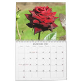 Garden Wonders Agenda 2013 Kalender (Feb 2027)