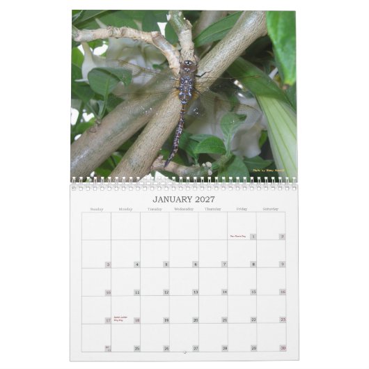 Garden Wonders Agenda 2013 Kalender (Jan 2027)