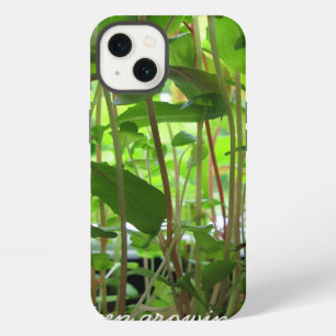 Gardener blijft groeien iPhone 13 hoesje