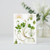 Gardener Briefkaart (Staand voorkant)