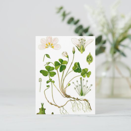 Gardener Briefkaart (Staand voorkant)