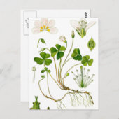 Gardener Briefkaart (Voorkant / Achterkant)