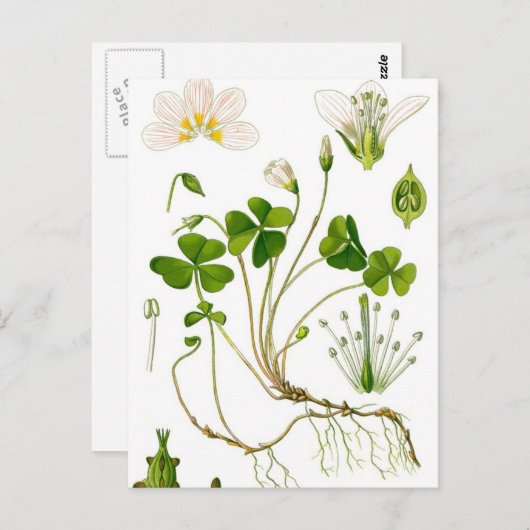 Gardener Briefkaart (Voorkant / Achterkant)