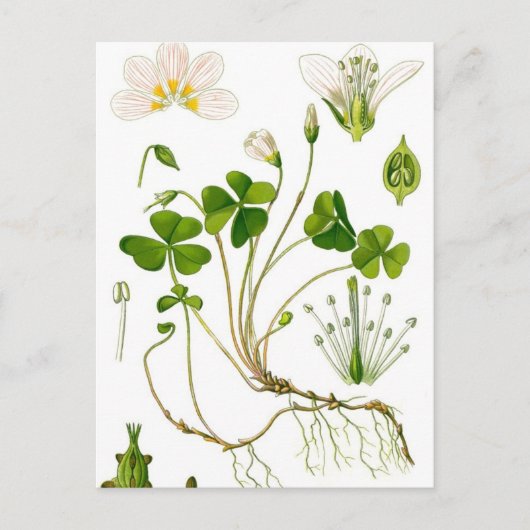 Gardener Briefkaart (Voorkant)