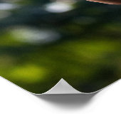 Gardener die een tomatafdruk vasthoudt poster (Hoek)