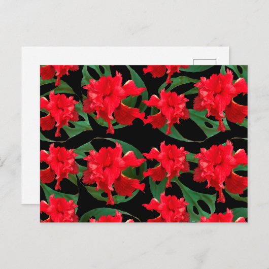 Gardener Hibiscus Monstera Pattern Black Briefkaart (Voorkant / Achterkant)