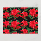 Gardener Hibiscus Monstera Pattern Black Briefkaart (Voorkant)