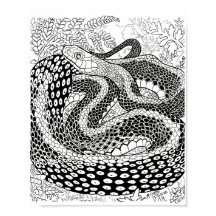 Gardener Snake Study Beyond Skin Coloring Page