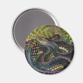 Gardener Snake Study Beyond Skin Magneet (Voorkant / Achterkant)