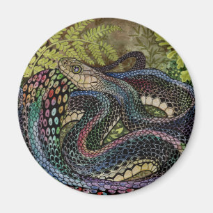 Gardener Snake Study Beyond Skin Magneet