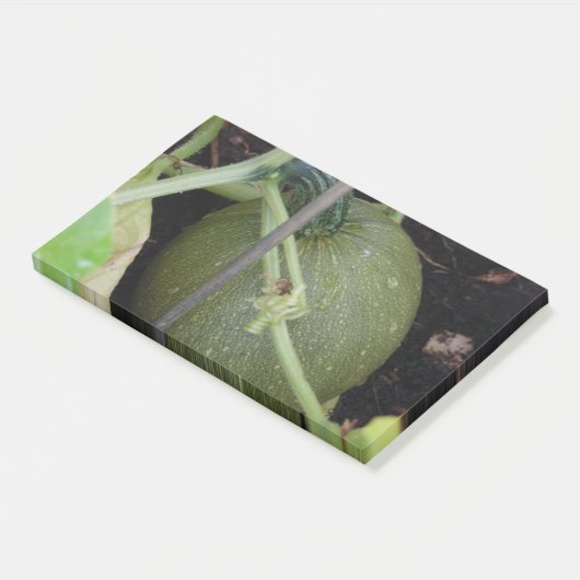 Gardener's Squash Post-it® Notes (Schuin)