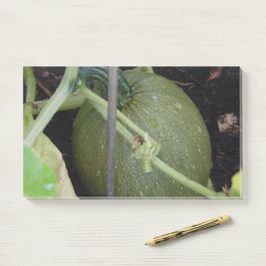 Gardener's Squash Post-it® Notes (Op bureau)