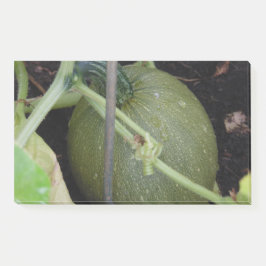 Gardener's Squash Post-it® Notes