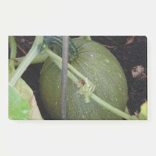 Gardener's Squash Post-it® Notes (Voorkant)