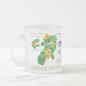 Gardener's teatime mug / herbs no2 matglas koffiemok (Links)
