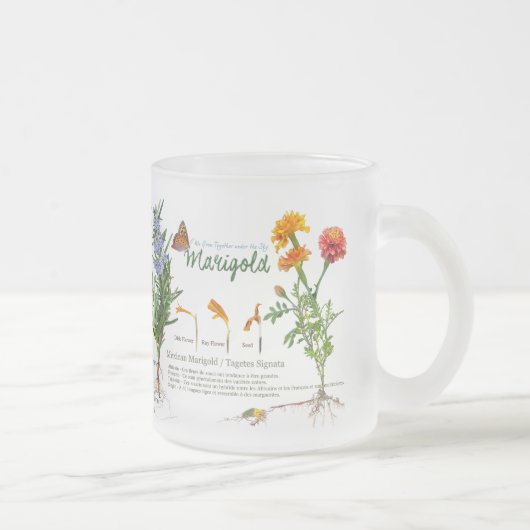 Gardener's teatime mug / herbs no2 matglas koffiemok (Rechts)
