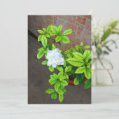 Gardenia Bloemblanco Kaart (Staand voorkant)