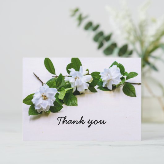 Gardenia bloemen Sympathie Hartelijk dank vlakke K Bedankkaart (Staand voorkant)