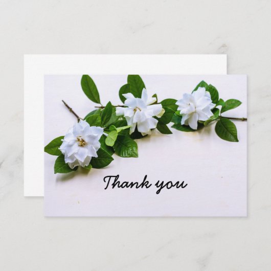 Gardenia bloemen Sympathie Hartelijk dank vlakke K Bedankkaart (Voorkant / Achterkant)