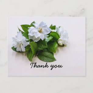Gardenia bloemen Sympathie Hartelijk dank vlakke K Briefkaart