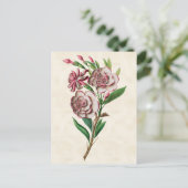 Gardenia  Botanisch Briefkaart (Staand voorkant)