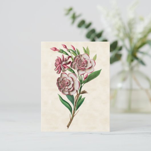 Gardenia  Botanisch Briefkaart (Staand voorkant)