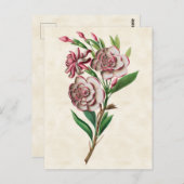 Gardenia  Botanisch Briefkaart (Voorkant / Achterkant)