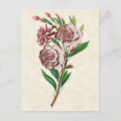 Gardenia  Botanisch Briefkaart (Voorkant)