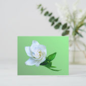 Gardenia Briefkaart (Staand voorkant)