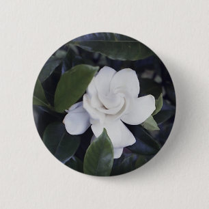 Gardenia-Button Ronde Button 5,7 Cm