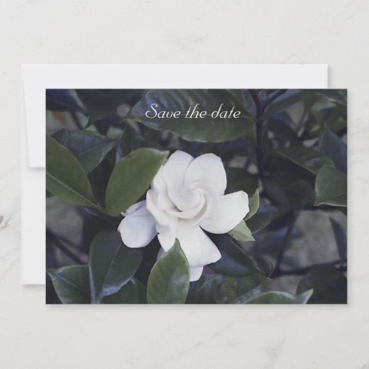 Gardenia Floral Save The Date Kaart (Voorkant)
