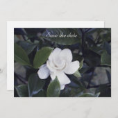 Gardenia Floral Save The Date Kaart (Voorkant / Achterkant)