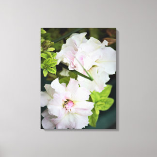 Gardenia Flowers Canvas Afdruk