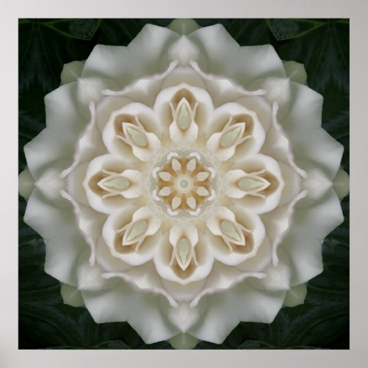 Gardenia Inner Glow Mandala Poster Print (Voorkant)
