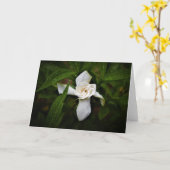 Gardenia, kaart (Gele Bloem)