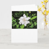 Gardenia, kaart (Gele Bloem)