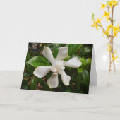 Gardenia, kaart (Gele Bloem)